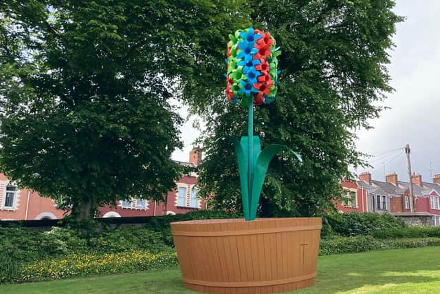 The RGB Hyacinth, which was created by artist Alan Phelan and made by people in Derry during lockdown in 2020.