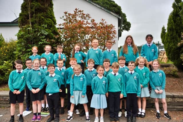 Primary four pupils in Glendermott Primary School who received a letter from David Attenborough.