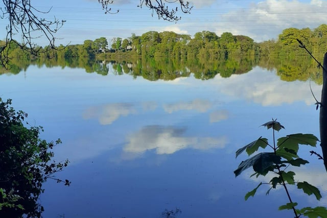 Enagh Lough on the outskirts of the city is great for four legged friends who enjoy getting their paws wet. Take a walk around the lake if you feel like an adventure.