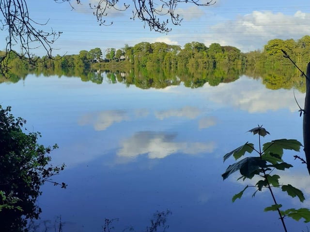 Enagh Lough on the outskirts of the city is great for four legged friends who enjoy getting their paws wet. Take a walk around the lake if you feel like an adventure.
