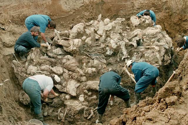 Forensic experts from the International war crimes tribunal in the Hague works on a pile of partly decomposed bodies, 24 July 1996 found in a mass grave in the village of Pilica some 300 km northeast of Sarajevo. The victims in the human sculpture is said to be some of the 7000 men missing after Serbs overran the Moslem enclave of Srebrenica in July 1995.(ODD ANDERSEN/AFP via Getty Images)