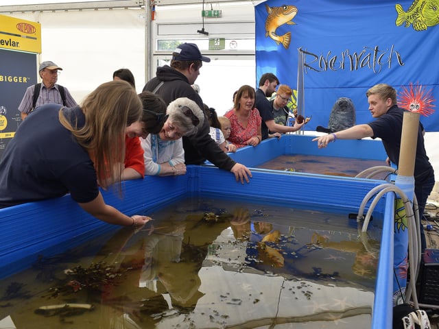 Visitors at Loughs Agency' River Watch exhibit during last week’s Foyle Maritime Festival. DER2918GS071