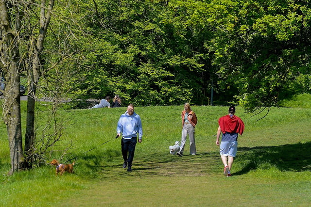 Locals enjoy a stroll in a picturesque St Columb’s Park, which is perfect for dogs and humans alike with plenty of great smells and sounds to investigate. DER2120GS – 010