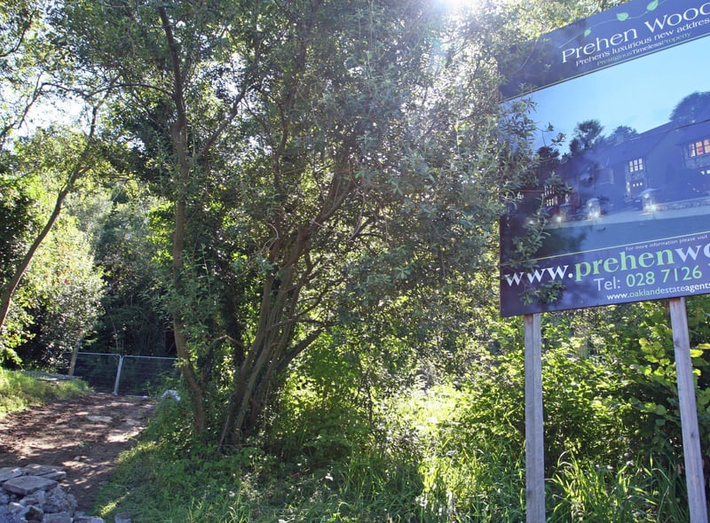 Prehen Woods is one of the only surviving ancient woodlands in the north and is an amazing insight into what the area would have looked like hundreds of years ago.