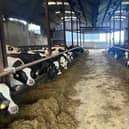 Colum Eastwood has warned of the threat the Protocol Bill poses to the dairy sector.
