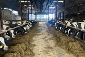 Colum Eastwood has warned of the threat the Protocol Bill poses to the dairy sector.