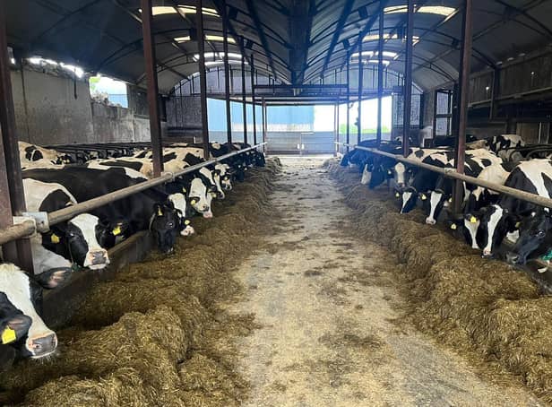 Colum Eastwood has warned of the threat the Protocol Bill poses to the dairy sector.