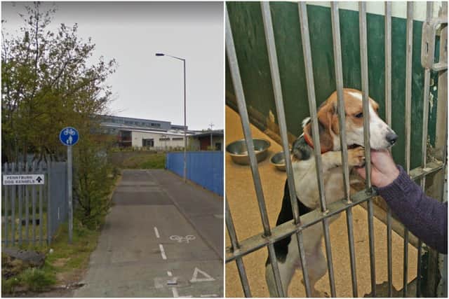 The dog kennels at the pound in Pennyburn Industrial Estate and one of the dogs brought there in the past.