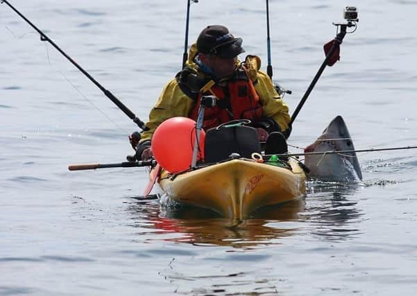 Kayak angler Graham Smith from Moville with a Porbeagle on a previous expedition. (Picture by Martin Moloney)