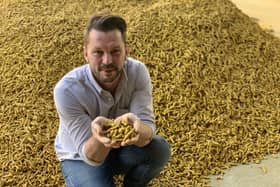 Jimmy Doherty with turmeric
