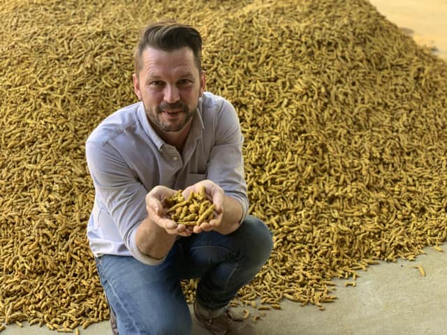 Jimmy Doherty with turmeric