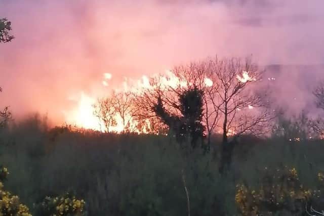 The fire was set on mudflats near Strathfoyle.