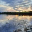 A swan glides along Inch lake.