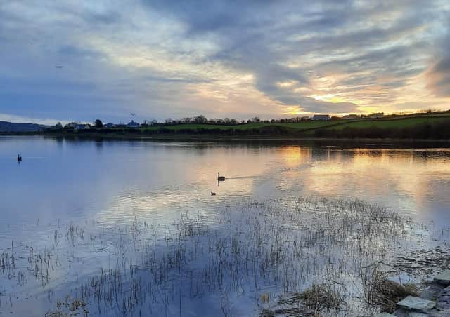 A swan glides along Inch lake.