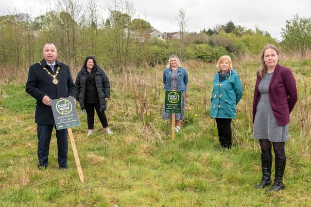 The Mayor Council Brian Tierney recently launched this years Don't Mow (Yet) scheme which will see grass and wildflowers allowed to flourish on some areas of Derry City and Strabane District Council land. Pictured at Bay Road Park are Lorraine McWilliams Bay Road Park Steering Committee, Councillor Sandra Duffy, Gillian Myatt, Steering Committee and Christine Doherty, Council's Biodiversity Officer. Picture Martin McKeown.