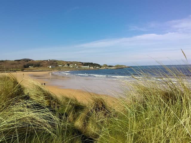 Culdaff Beach. The water quality is ‘excellent’ according to the EPA.