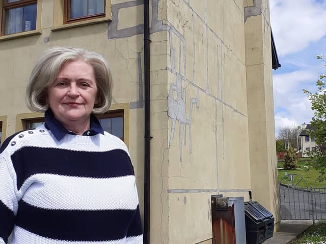 Mary O'Regan outside her mica damaged home in Mannorcunningham.