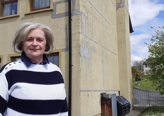 Mary O'Regan outside her mica damaged home in Mannorcunningham.
