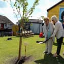 Bridie McBrearty, on the left, mother of Volunteer George McBrearty, and Anne Bell plant Crann na Poblachta to commemorate the 1981 hunger strikers and the anniversary of George McBrearty and Charles ‘Pop’ Maguire, at Rathkeele Way on Sunday afternoon last. Photos: George Sweeney.  DER2122GS - 001