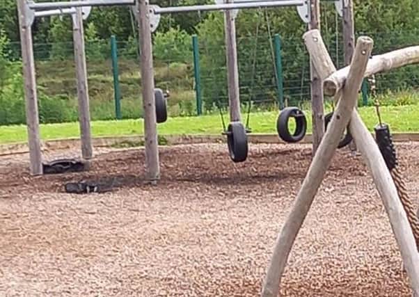 Incinerated tyre swings at the park this morning.