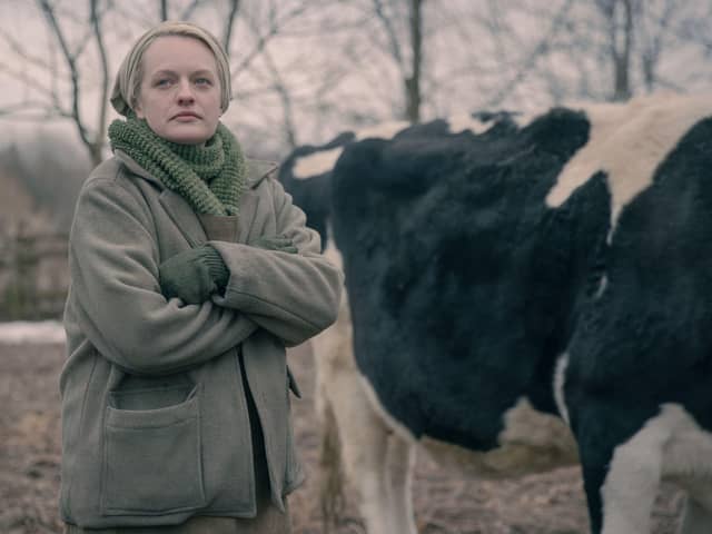 June finds refuge on a farm
