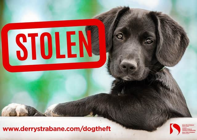 Dog owners have been urged to be vigilant.