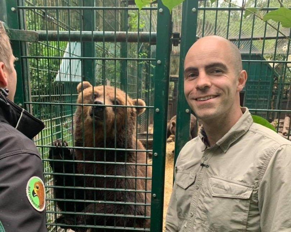Wild Ireland hope to rehome two more abandoned bears from Russia | Derry  Journal
