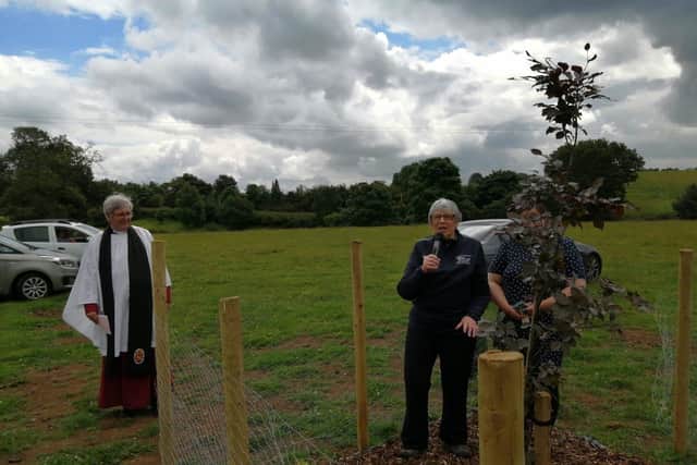 Di Harvey planting a beech copper tree in memory of the three crew members of AW271 who died in 1941. Canon Harold Given, Rector of Tamlaghfinlagan, presided over prayers at the the tree planting.