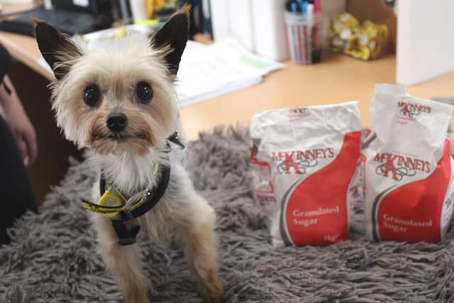 Sweet girl Suni weighs less than two bags of sugar