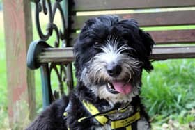 Blossom  is a sensitive little lady who enjoys the quiet life.