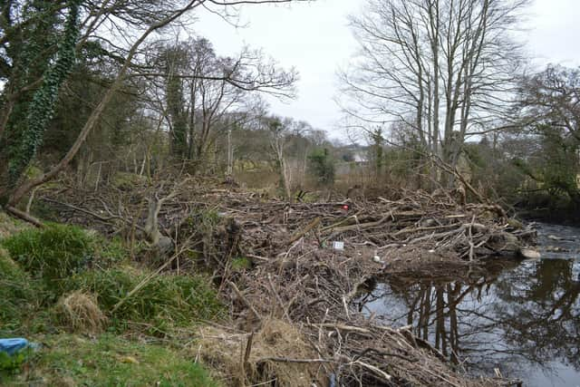 The debris clustered at Magee’s Pool along the Crana River.