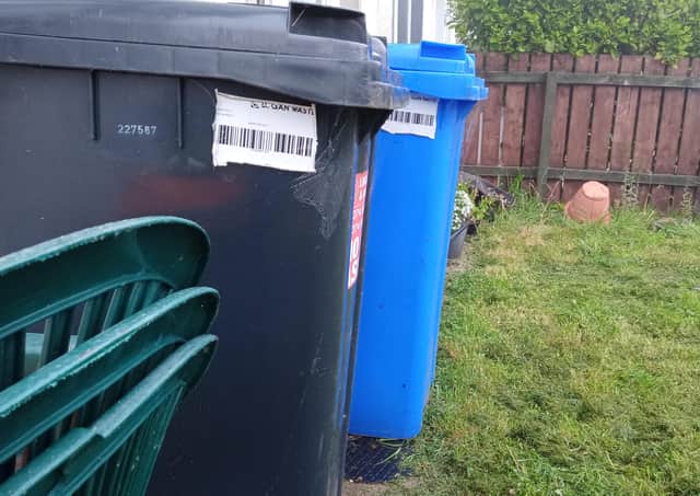 Wheelie bins (File picture)