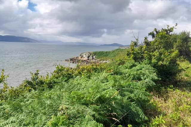 Father Hegarty's Rock