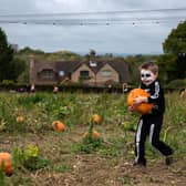 There are lots of pumpkin patches open across Northern Ireland this Halloween.