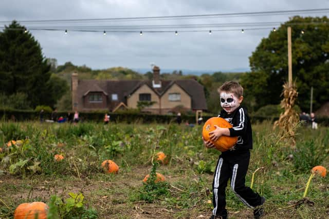 There are lots of pumpkin patches open across Northern Ireland this Halloween.