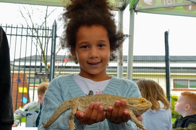 Sarah Adebayo holds a Bearded Lizard at the Wan Big Street Party held in Creggan on Monday afternoon. Photo: George Sweeney.  DER2233GS – 025