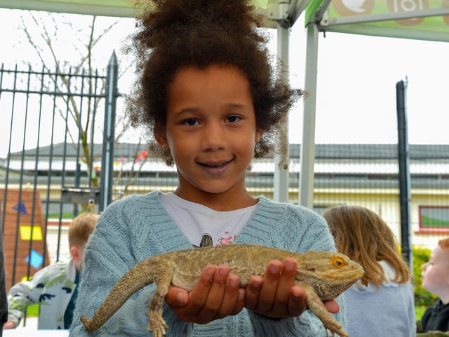 Sarah Adebayo holds a Bearded Lizard at the Wan Big Street Party held in Creggan on Monday afternoon. Photo: George Sweeney. DER2233GS – 025