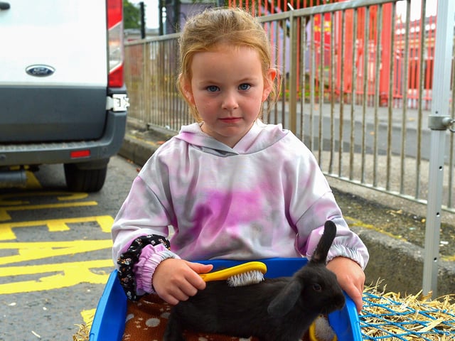Chloe Glenn brushes a rabbit at the Wan Big Street Party held in Creggan on Monday afternoon. Photo: George Sweeney. DER2233GS – 021