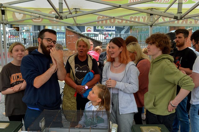 Local viewing a pet rat, from Kidz Farm, at the Wan Big Street Party held in Creggan on Monday afternoon. Photo: George Sweeney.  DER2233GS – 022