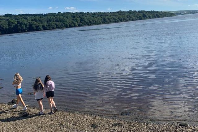 A day on the lough shore.