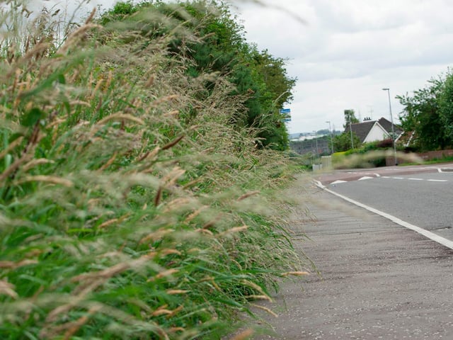 Ardan Road (Bóthar an Ardáin). There is a settlement named Tullyardan at the west end of the road. 'Ardán' means 'small height'. 'Tully' may come from 'tullach' meaning 'little hill'.