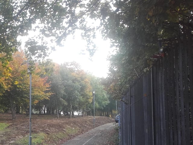 Collon Lane (Lána Chollann). Colann, a height or high ground, seems to be the basis of several names anglicised as Collin or Colin. Since it is an ancient element of which the genitive form is uncertain, it has been left uninflected. There is a Collon House and a Collon Farm in Shantallow.