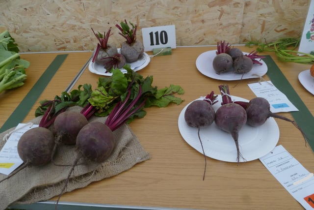 Beetroot Section