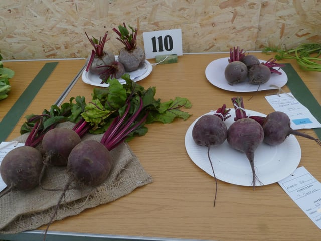 Beetroot Section