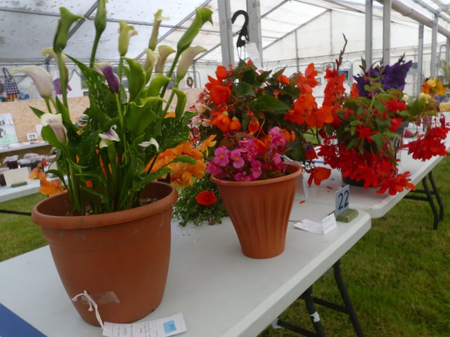 Flower Section