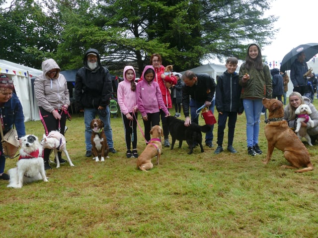 Golden Oldies Dog Show