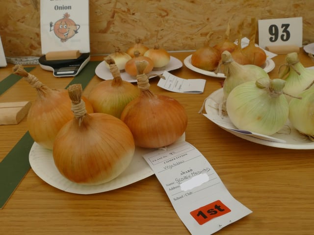 Onions