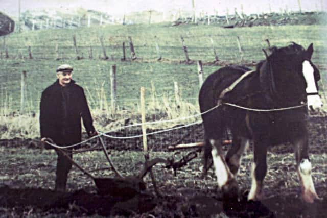 Farmer Hugh Gordon ploughing in Clonmany circa 1950.
