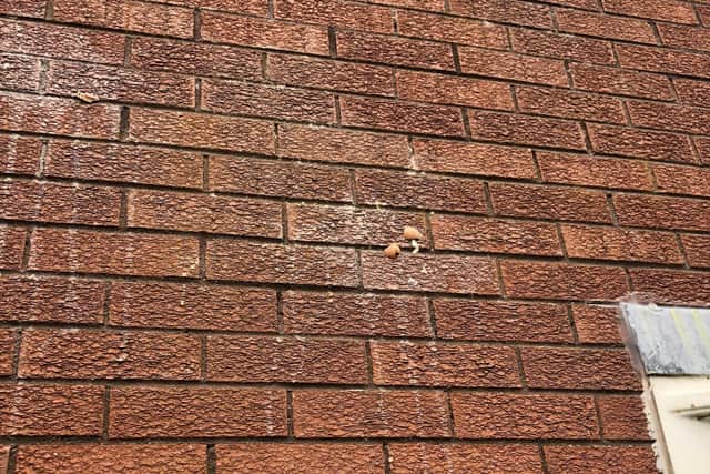 Egg splattered on the wall of a Hazelbank home, where a woman was victim of a racist and homophobic attack.