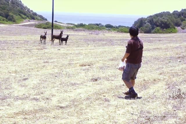 Visual Artist Shiro Masuyama will be presenting his latest show, ‘Feeding Carrots from the South to Wild Donkeys in the North’